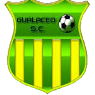 https://img.jmpec.com/img/football/team/3dfa700c1f084e5a18fc926d6f7ae427.png